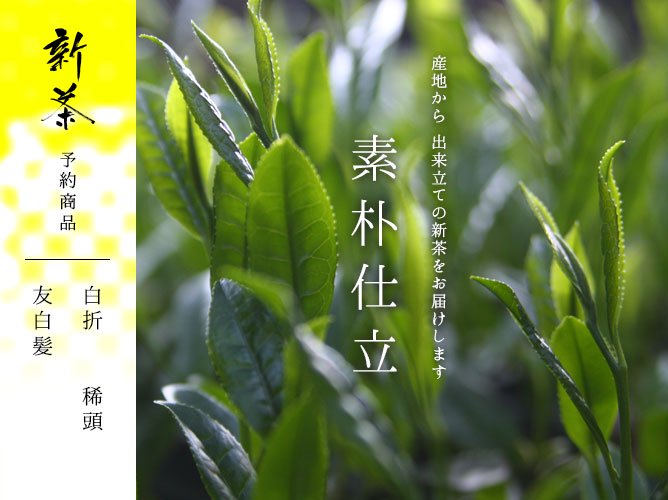 新茶 素朴仕立