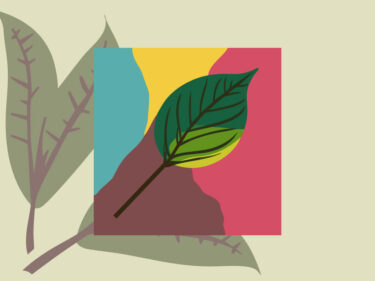 茶葉×ファッション：布を染める、茶葉の実力！？